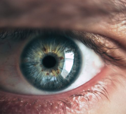 Home Care Assistance